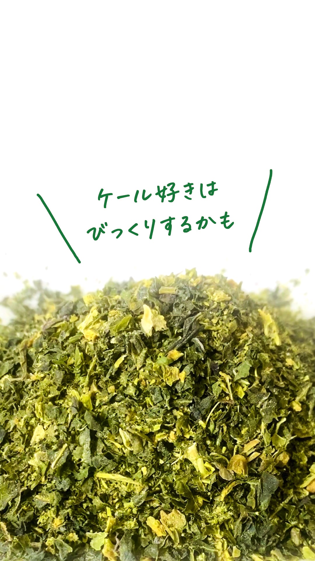 【期間限定SALE】野菜ましましの素 お料理やインスタント食品に簡単トッピング!【国産乾燥ケール100%】