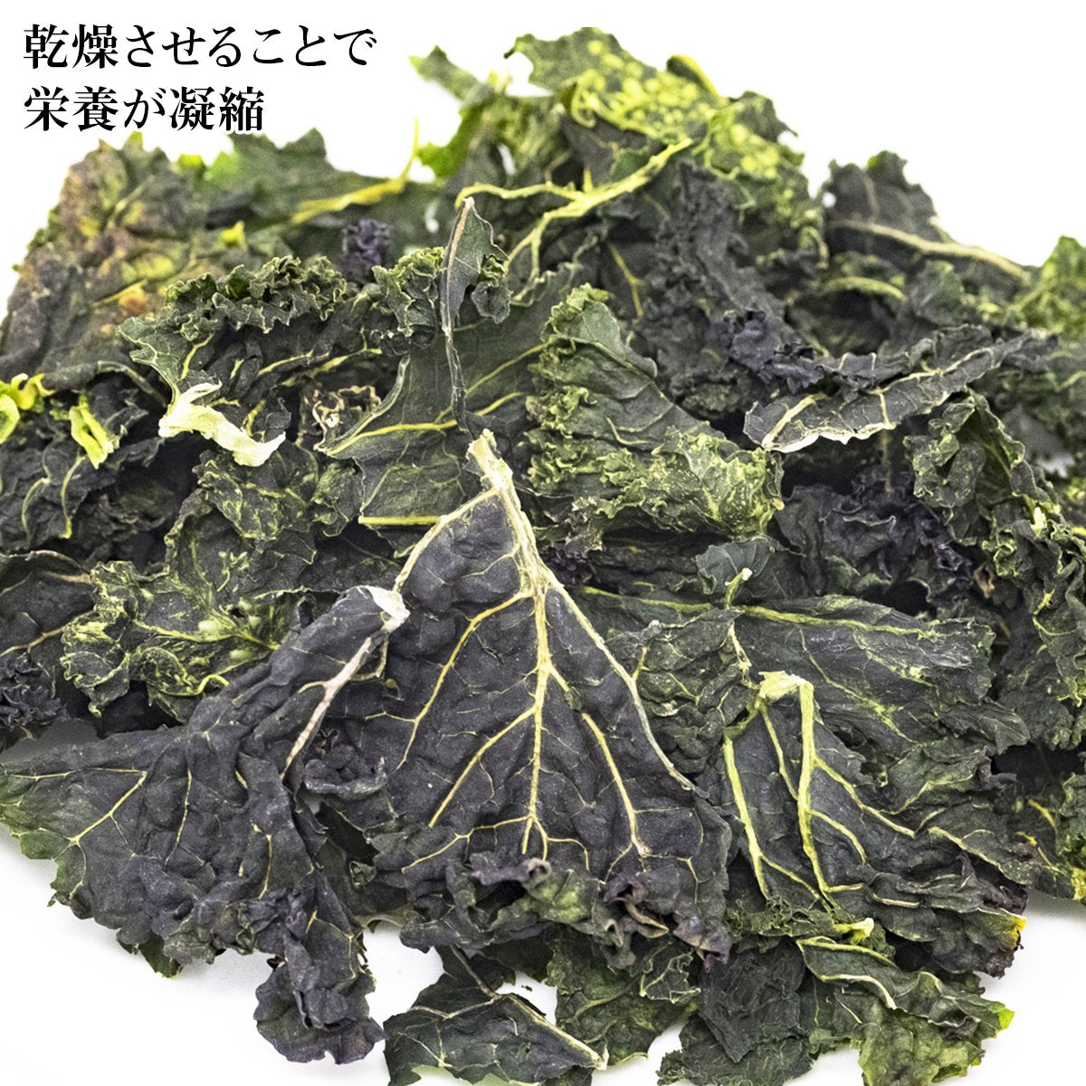 【送料無料】そのまま乾燥ケール5パックセット(GB)