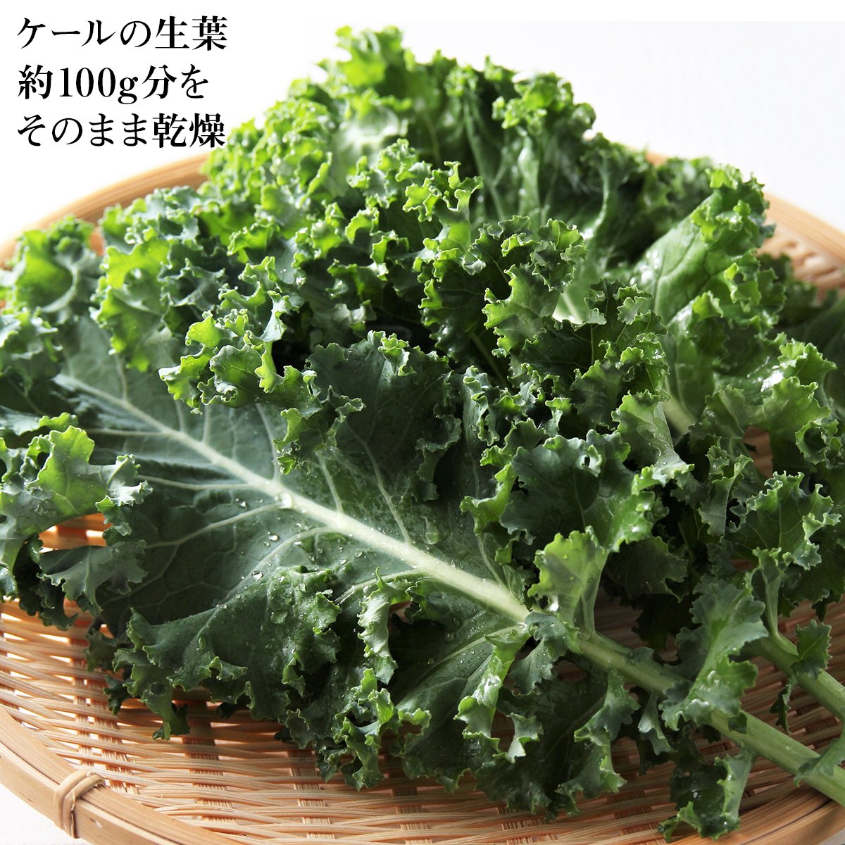 【送料無料】そのまま乾燥ケール5パックセット(GB)